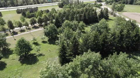 Zalgirio Park Stock Footage 280051873