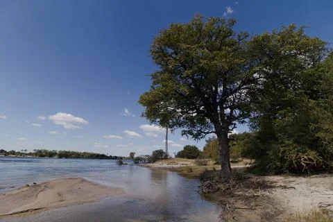 Zambezi River 写真素材