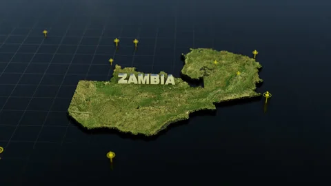 Zambia 3D Map With Animation Stock Footage 311536766