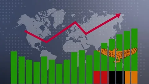 Zambia bar chart graph with ups and downs, increasing values, concept of ec.. Vidéo 281167194