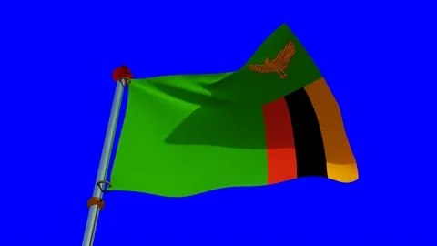 Zambia Flag in 3D Stock Footage 157480846