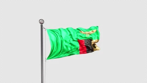 Zambia Flag  Animation Loop Include Alpha 3D Rendering 1 Stock-Footage 312117895