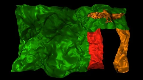 Zambia flag Stock Footage 110870992