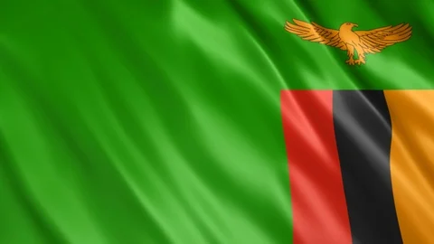Zambia Flag Stock Footage 123902499