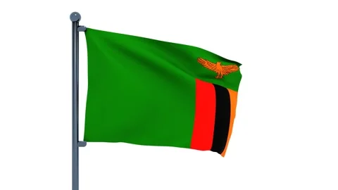 Zambia Flag Stock Footage 150543980