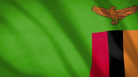 Zambia Flag Stock Footage 188183848