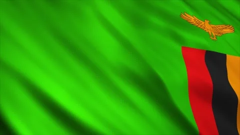 Zambia Flag 스톡 동영상 249035113