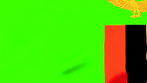 Zambia flag with golden eagle emblem on green background Vídeos de archivo 343574022