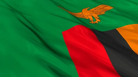 Zambia flag Seamless 스톡 동영상 49088062