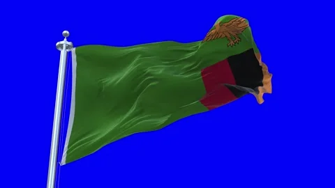 Zambia Flag Waving in Loopable and Textured green screen background Stock Footage 296876039