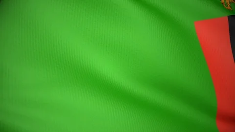 Zambia Stock Footage 86390389