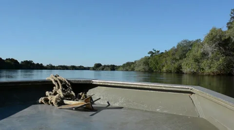 Zambia river Stock Footage 39901412