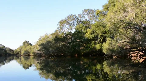 Zambia river Stock Footage 39901817
