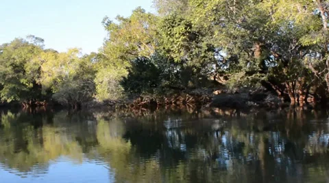 Zambia river Stock Footage 39902072