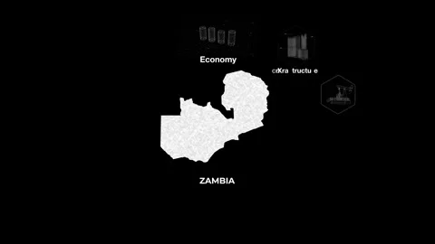 Zambia technology map with animated charts Stock Footage 340994073