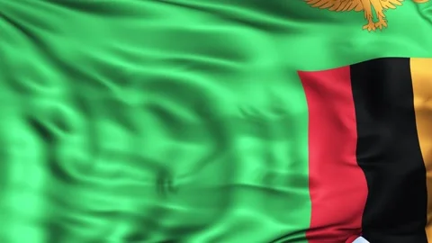 Zambia Waving Flag Background Video stock 204138020