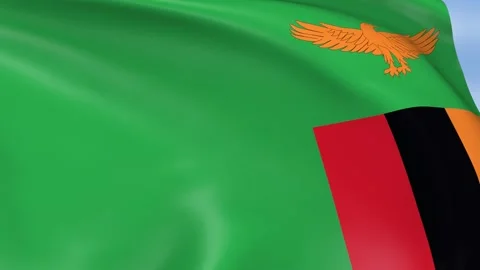 Zambia Waving Flag Background Loop Stock Footage 317845898