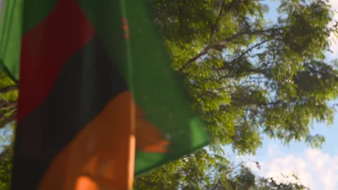 Zambian Flag 2 Stock Footage 142369076