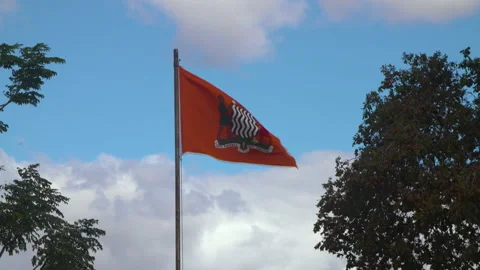 Zambian flag blowing in the wind Stock Footage 142369044