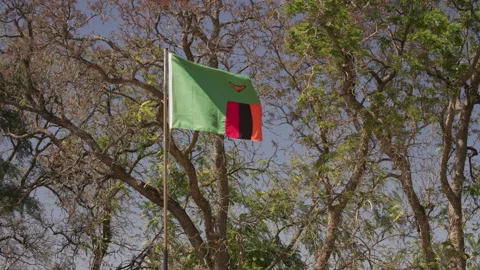 Zambian glag blowing in the wind Stock Footage 335114861