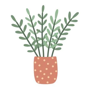 Zamiakulkas isolated vector illustration Stock Illustration