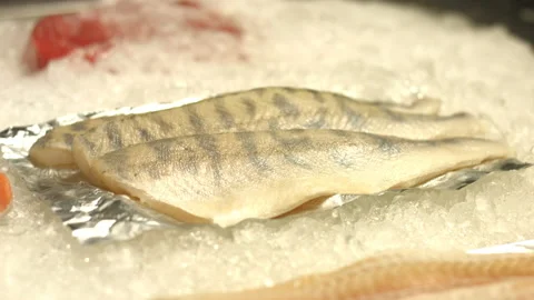 Zander fillet. Seafood. Stockbeeldmateriaal 100712943