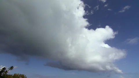 Zanzibar beach clouds time lapse Stockbeeldmateriaal 167565504