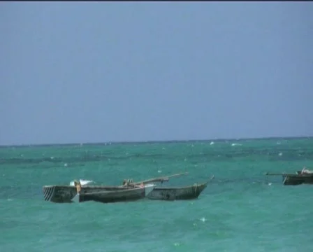 Zanzibar beach   Stock Footage 546874