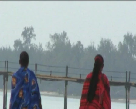 Zanzibar beach  Stock Footage 549701