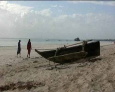 Zanzibar beach  Stock Footage 549703