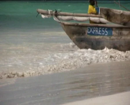 Zanzibar beach  Stock Footage 558782