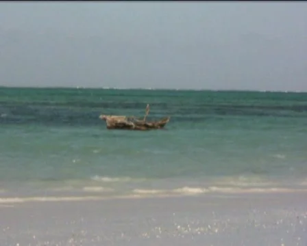 Zanzibar beach  Stock Footage 558787