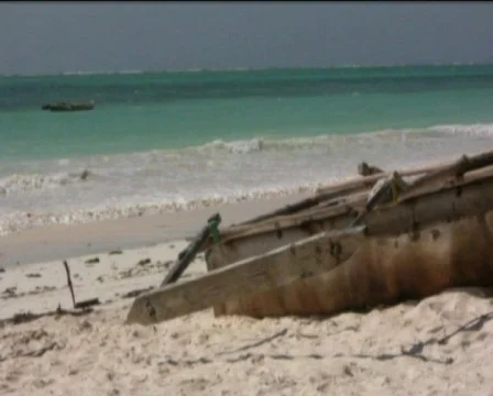 Zanzibar beach  Video stock 558788