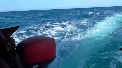 Zanzibar beach Stock Footage 83244034