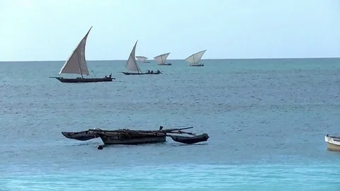 Zanzibar beach Stock Footage 83244435