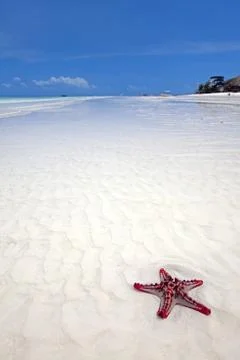 Zanzibar beach Stock Photos