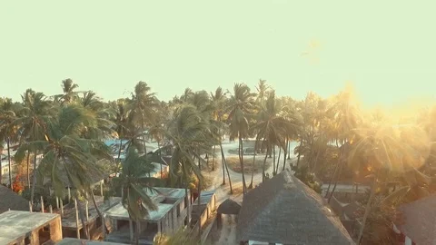 Zanzibar beach sunset Stock Footage 108769980