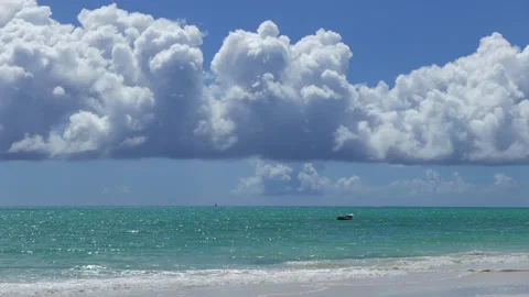 Zanzibar beach visual Stock Footage 167564773