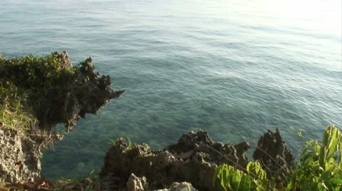 Zanzibar Coast Stockbeeldmateriaal 7729643