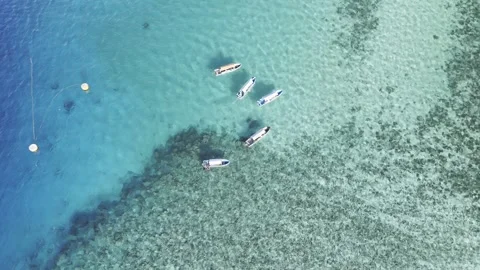 Zanzibar Video stock 268822432