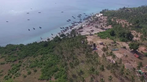 Zanzibar Shore  Video stock 67491467