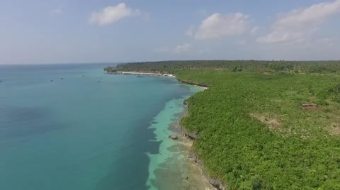 Zanzibar Shore Video stock 67519666