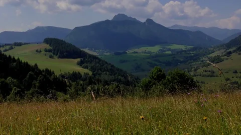 Zázriva - Grúne Video stock 92587348