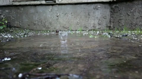 ZB '14 808 - Puddle Drip 1 Video stock 37323773