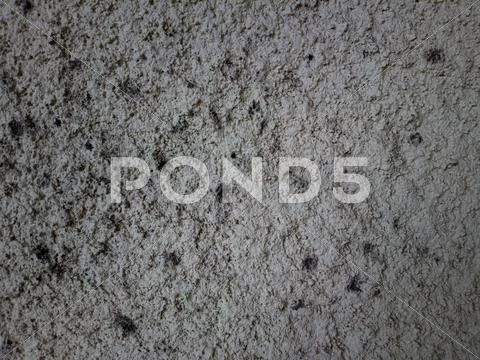 ZB Pureview - Stucco Wall Texture 3 Stock Photos