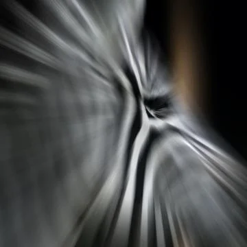 Zebra abstrakt2 Stock Photos