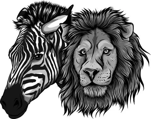 Zebra and lion head vector illustration design Stock Illustration