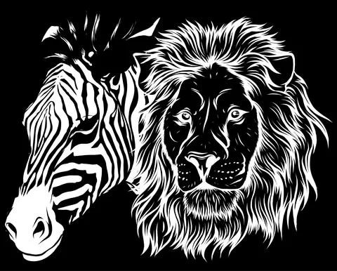 Zebra and lion head vector illustration design Illustrazione stock