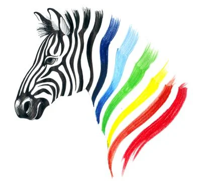 Zebra and rainbow Illustrazione stock