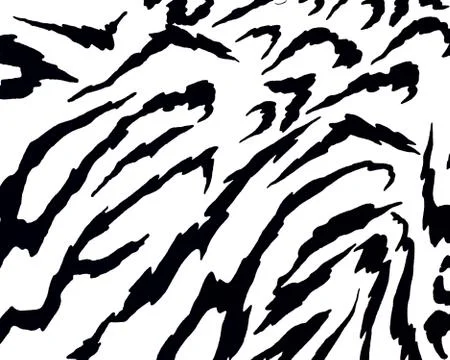 Zebra animal image pattern Stock Illustration
